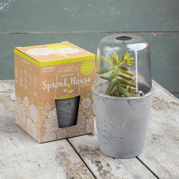 Planters and Pots