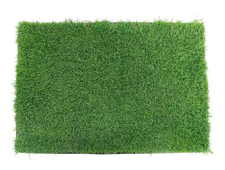 Sod by the sf